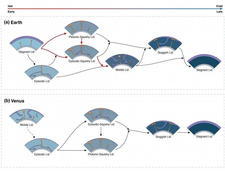A diagram showing the potential evolutionary pathways for Earth and Venus, highlighting the key role of the newly discovered “episodic-squishy lid” regime. Credit: T. Lyu et al. (2025). Nature Communications.