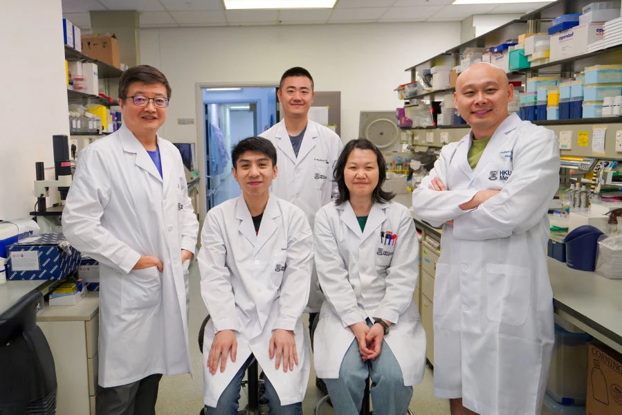 A research team led by Professor Chu Hin (first right) and Professor Chen Zhiwei (first left) has discovered that inhibiting the BRD9 protein can effectively reactivate latent HIV-1. When used in combination with other drugs, this approach exhibits significant synergistic effects, offering new hope for the development of novel treatment regimens for HIV-1 cure.  