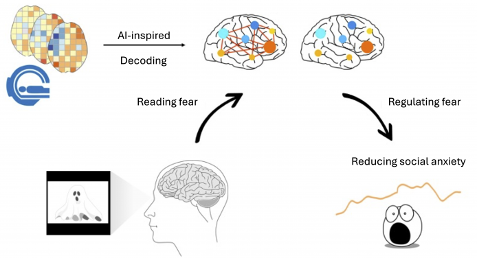 HKU Psychology Research Decodes Real-Life Fear
Paving Way for Precision Social Anxiety Treatments