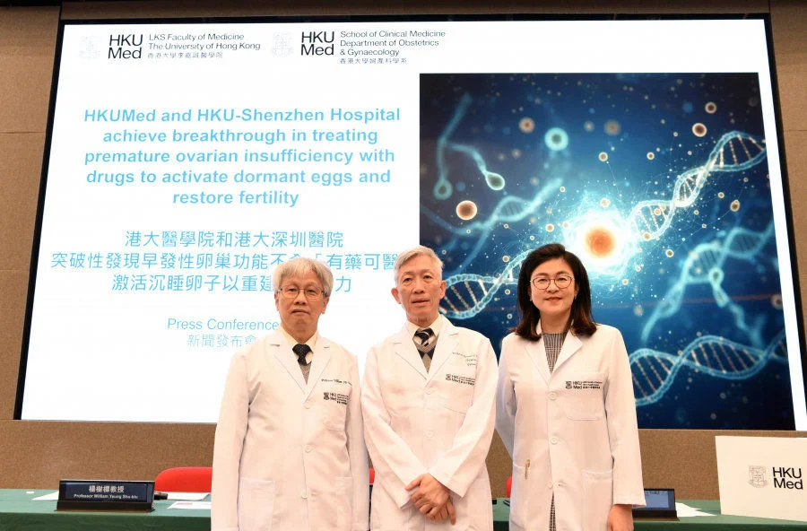 HKUMed reveals that using drugs to treat POI by awakening dormant eggs and facilitating their development into usable antral follicles, is a key breakthrough in restoring fertility (from left: Professor William Yeung Shu-biu, Professor Ernest Ng Hung-yu and Dr Wang Tianren).