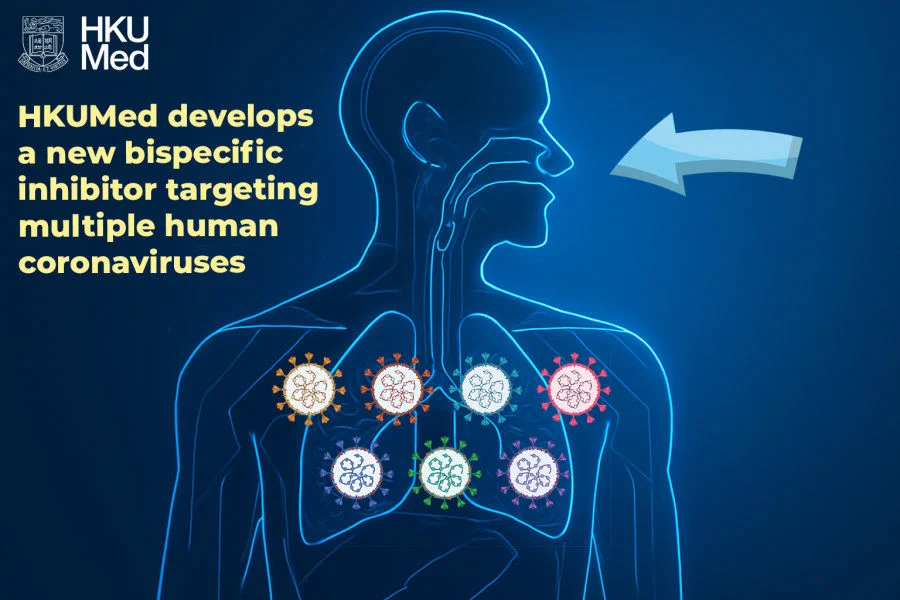 TMP1, the new bispecific inhibitor, has broad-spectrum antiviral efficacy against multiple human-pathogenic coronaviruses, including the highly pathogenic SARS-CoV-2, SARS-CoV-1 and MERS-CoV.  