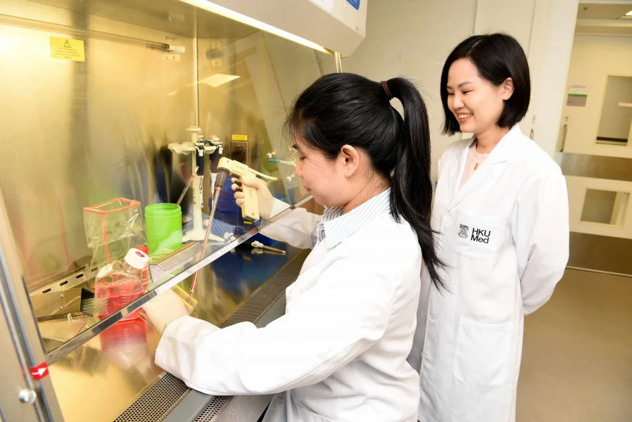 The HKUMed research team developed world’s first biobank of ‘intestinal metaplasia’ organoid models to study early cancer development, helping detect early warning signs of stomach cancer.  