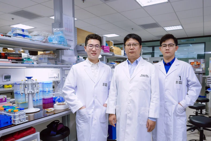 The research team led by Professor Chen Haiyong (middle) discovers a mechanism of C-reactive protein that exacerbates inflammation in diabetic kidney disease. The team members include Wang Yifan (left) and Guo Jianbo (right).  