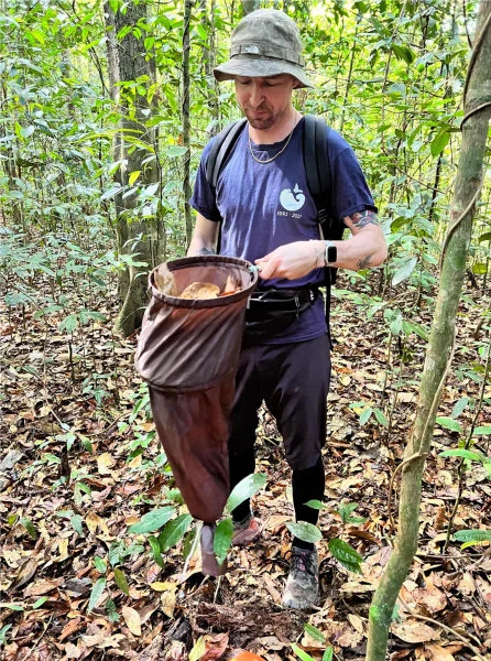 Dr Michael Boyle collecting leaf litter insects at Danum Valley Conservation Area, Borneo.  (Photo courtesy: Louise Ashton)