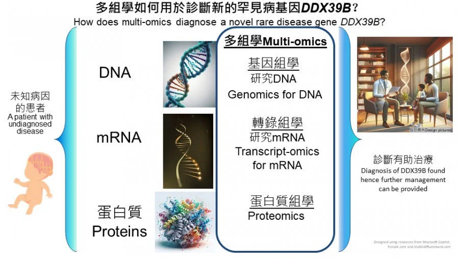 The research utilises multi-omics which can cover a wide range of human diseases in a single analysis to reveal the potential genetic factors causing the disease, aiding the development of novel screening, diagnostic, preventive and therapeutic strategies.   
