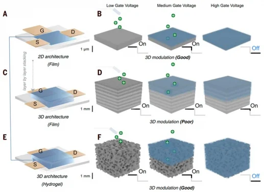 HKU Engineering Researchers Develop Soft, 3D Transistors
with Hosting Living Cell Potential, Featured on Science Cover