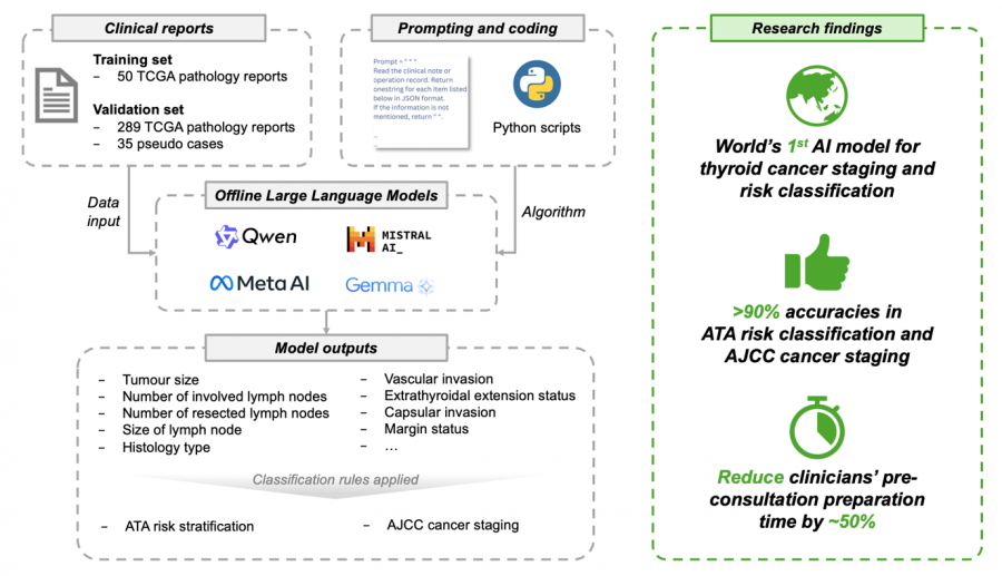 The HKUMed-developed model makes use of four offline large language models —Mistral, Llama, Gemma, and Qwen— to analyse clinical documents for the efficient and accurate staging and risk classification of thyroid cancer.  