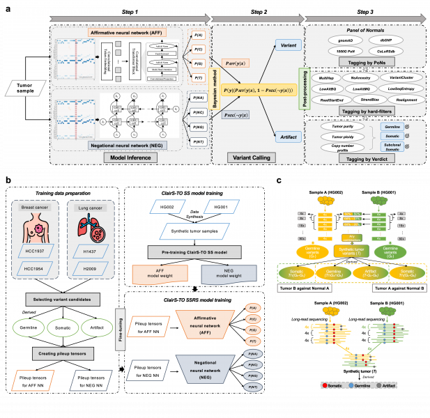Researchers from HKU Engineering Develop Deep-learning Tools to Transform Cancer Diagnosis and Genomic Research 