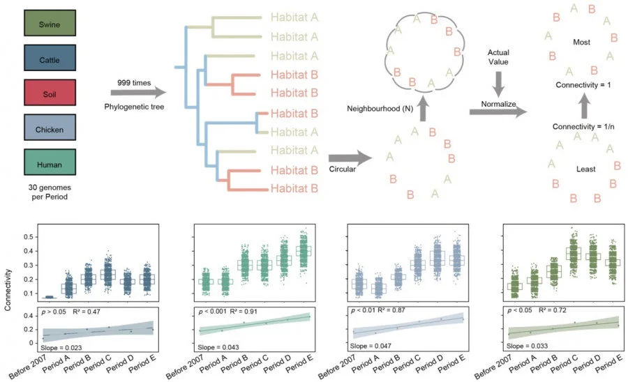 Fig. 2 Connectivity of Rank I ARGs between soil and other habitats