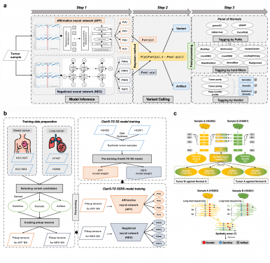 Researchers from HKU Engineering Develop Deep-learning Tools to Transform Cancer Diagnosis and Genomic Research