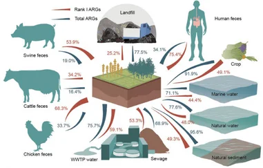 HKU Civil Engineering Researchers Reveal How Soil and Human Antibiotic Resistance Are Connected