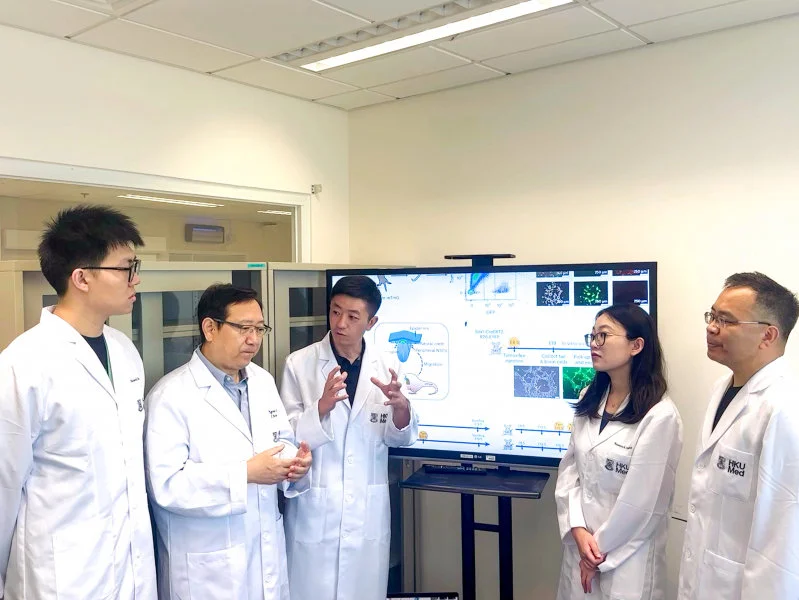 A research team, led by Dr Han Dong (third left) and Professor Liu Pengtao (second left), has discovered a previously unknown type of neural stem cell located outside the experimental mouse central nervous system, opening up transformative possibilities in regenerative medicine for treating neurological diseases and injuries.  