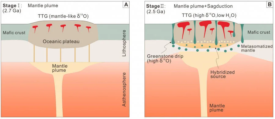 An illustration depicting the formation of TTGs in a two-stage mantle plume-sagduction model. Image credit: Adapted from Zhao, D. et al. (2025). Science Advances. DOI: 10.1126/sciadv.adr9513.