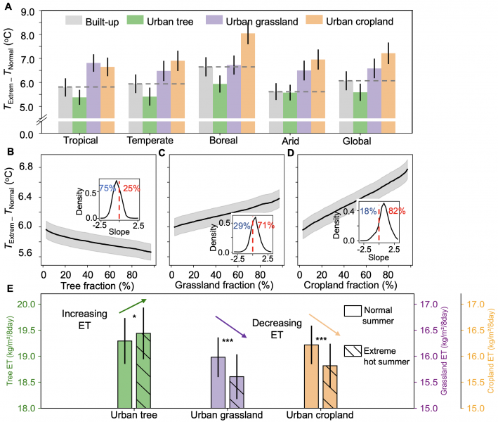 HKU Geography Research Reveals the “Warming Paradox” of Urban Greenery
