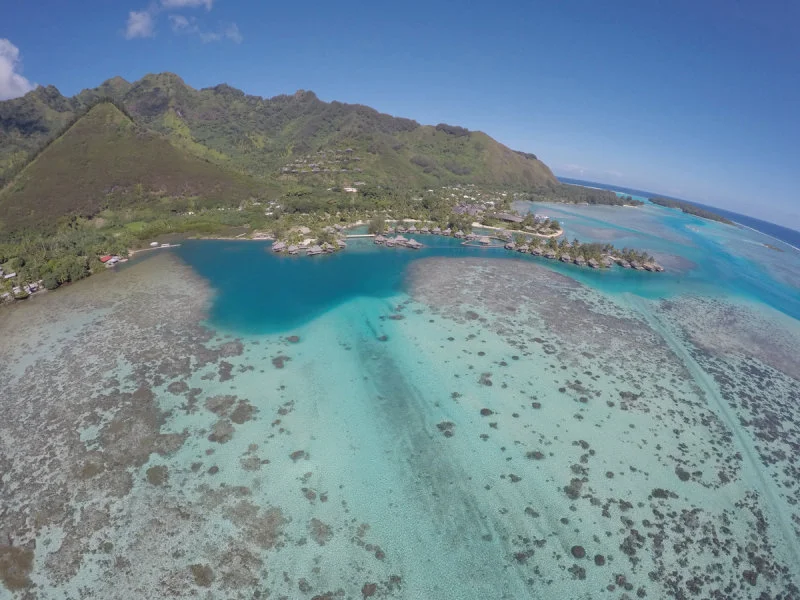 6. Coral and giant clams nursery site at the InterContinental Resort & Spa Moorea in French Polynesia (Credit: CRIOBE)