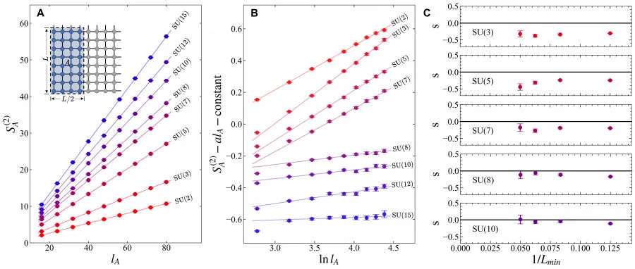 Figure 2. The scaling of entanglement entropy (EE) at SU(N) DQCPs. At N<Nc≈8, scaling of EE obtains a finite sub-leading log-correction, reflecting as the positive slope for red lines in panel (B), while for N>Nc, the anomalous log-correction disappears and therefore the DQCPs are possibly continuous.   
