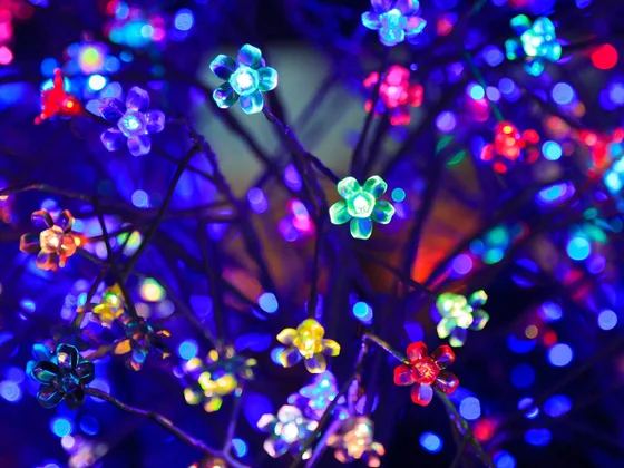 HKU Department of Chemistry