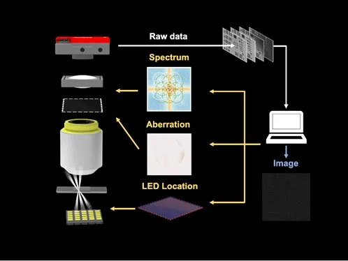 HKU Engineering Researchers Pioneer Differentiable Imaging and Launch Landmark Application with Uncertainty-Aware Fourier Ptychography