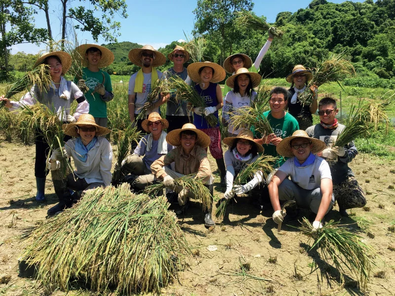 University staff, villagers, farmers, volunteers and NGO members work together to revitalise rural villages.