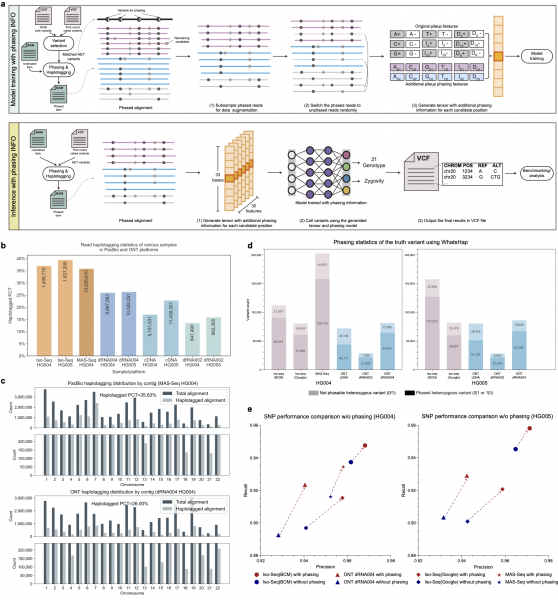 Researchers from HKU Engineering Develop Deep-learning Tools to Transform Cancer Diagnosis and Genomic Research 