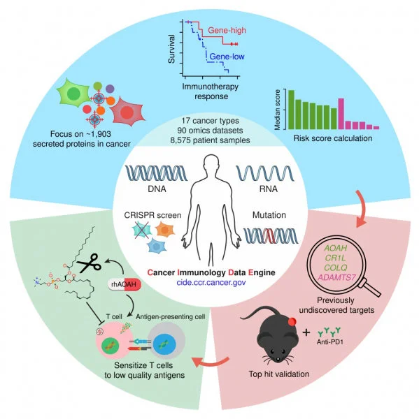 HKUMed, in collaboration with the US National Cancer Institute, has successfully developed an innovative big data platform, the CIDE, which is currently available for public access for identifying new immunotherapy regulators (https://cide.ccr.cancer.gov/).  