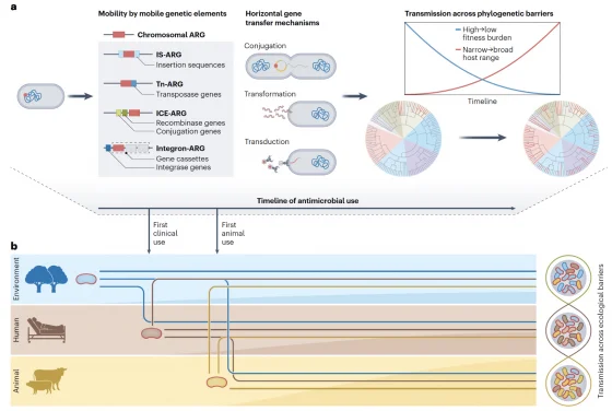 HKU Engineering Research Team Develops New Framework to Track Antimicrobial Resistance across Human, Animal, and Environmental Sectors