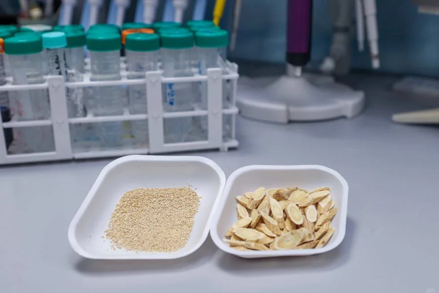 Astragali radix extracts (left) and slices (right).