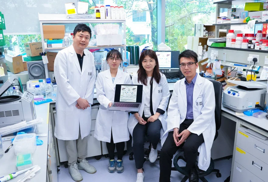 HKUMed researchers have identified key protein in liver cancer resistance and developed inhibitor to enhance therapy and prevent cancer recurrence. The research is co-led by Professor Stephanie Ma Kwai-yee (second right) and Professor Clive Chung Yik-sham (first right).