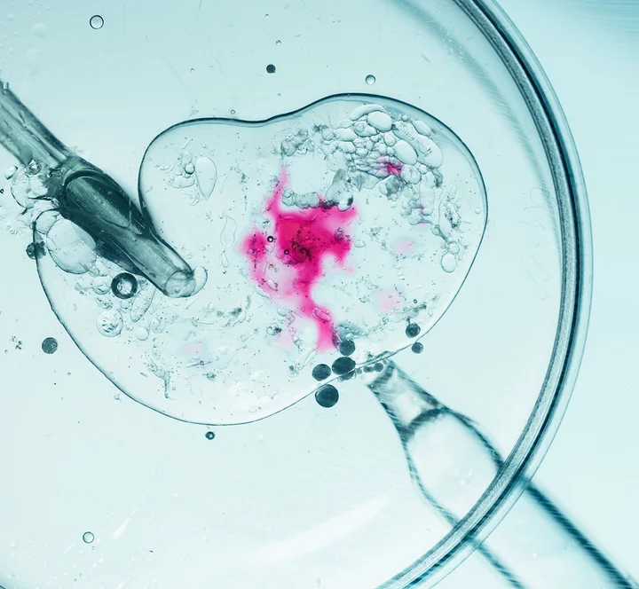 HKU Faculty of Science