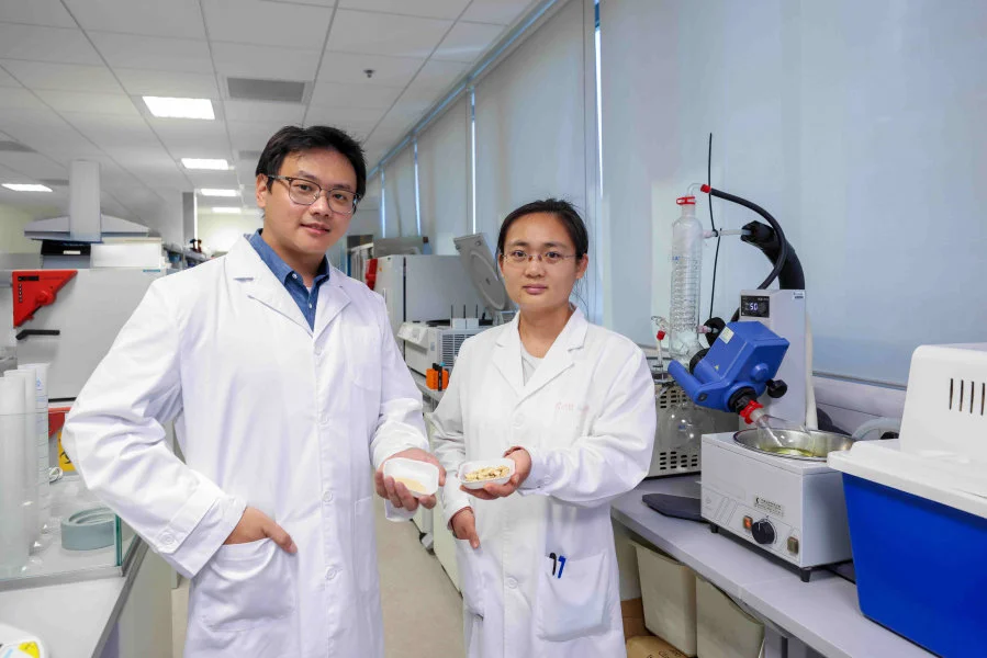 Professor Lin Xiang (left) and his research team member present Astragali radix extracts and slices.