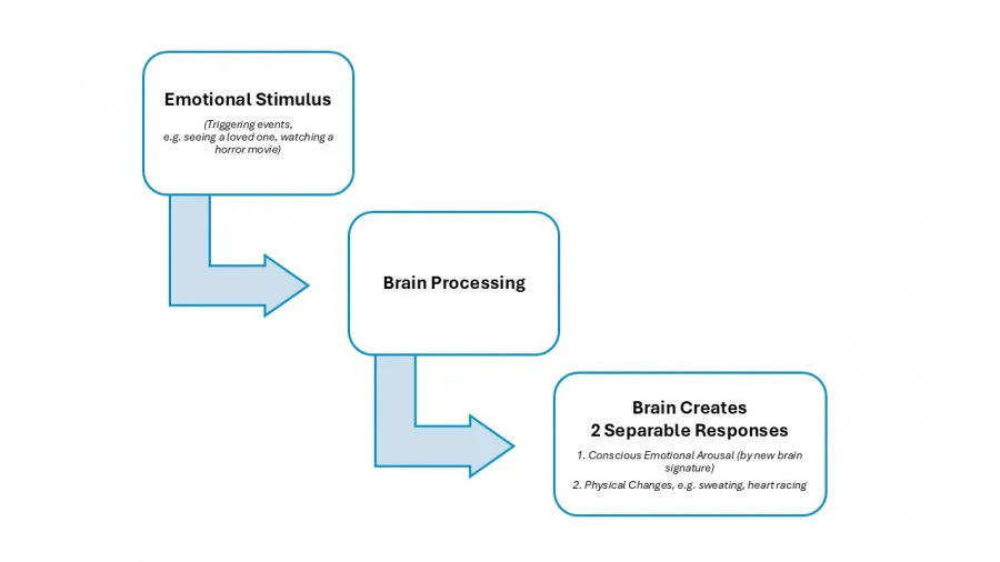 HKU psychology research reveals how the brain constructs emotional experiences