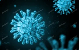 Collaborative Projects