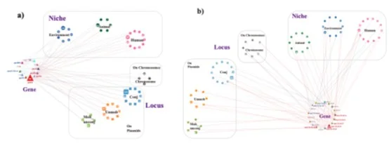 Figure 2. Cross-sectoral dissemination and genomic context of high-risk ARGs.