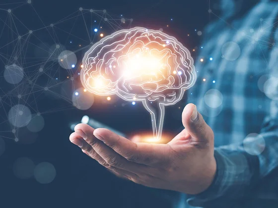 HKU Department of Psychology