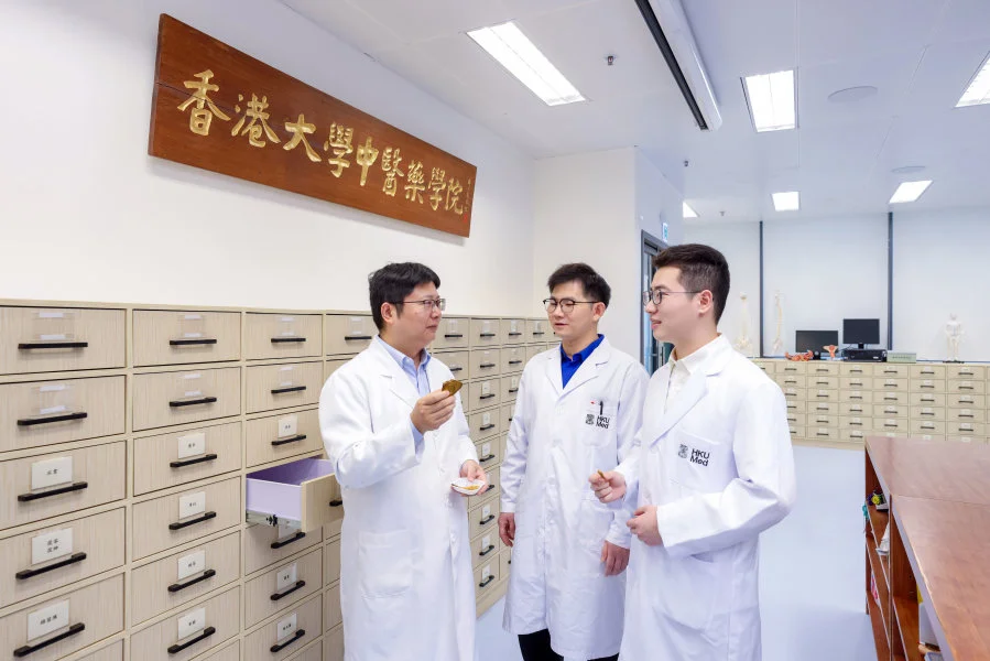 The research team is focusing on the traditional Chinese medicine rhubarb (Da Huang) to develop active herbal molecules that inhibit NLRP3 activation.  