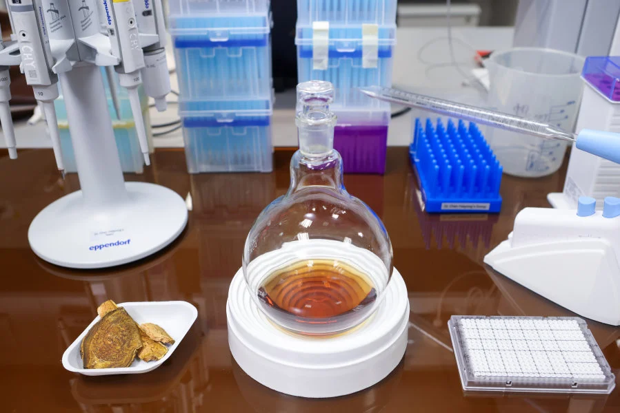 According to the Shennong's Classic of the Materia Medica and modern pharmacological research, traditional Chinese medicines such as rhubarb (Da Huang) have significant advantages in treating diabetic kidney disease. Researching and developing their active components will contribute to the prevention and treatment of diabetic kidney disease.  